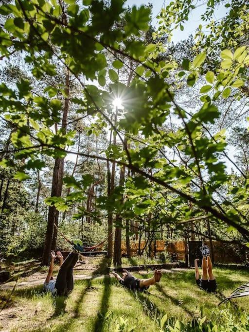 Doornspijk Forest Cottage With Lovely Garden & Sauna מראה חיצוני תמונה