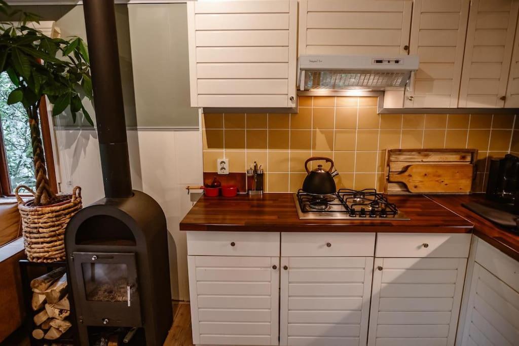 Doornspijk Forest Cottage With Lovely Garden & Sauna מראה חיצוני תמונה